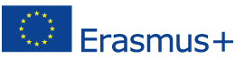 erasmus foot